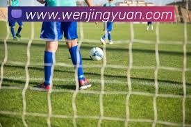 法甲新赛季中国球员加盟引关注